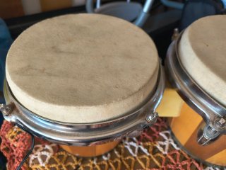Coppia Bongo legno