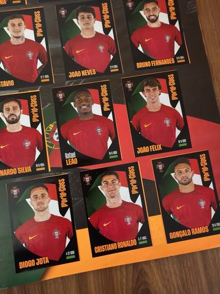 Panini World Class 2024 Álbum Completo