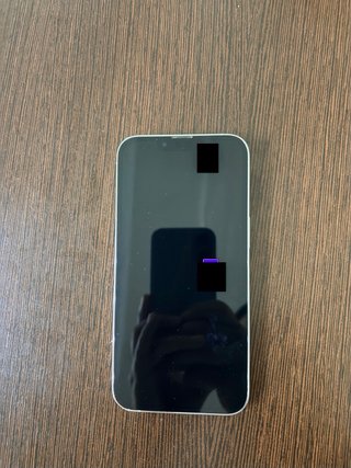 iPhone 13 Pro 256 GB