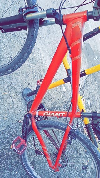 Bicicleta Roja Giant