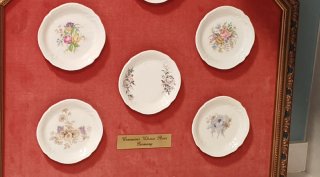 Cuadro Rosenthal Porcelana  Classic Rose