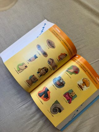 Dicc. Primària Valencià