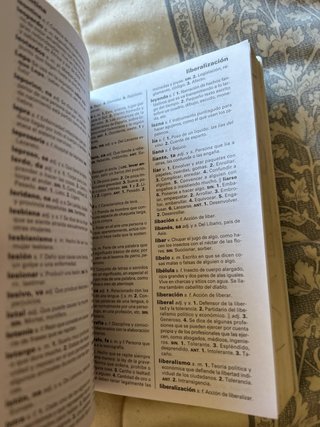 NUEVO DICCIONARIO BASICO DE LA LENGUA ESPAÑOLA