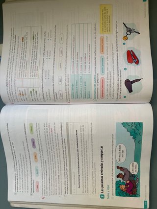 Lengua castellana y literatura