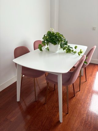 Mesa Comedor + 4 Sillas Rosa