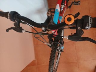 Bicicleta de Montaña Roja DENBIKE