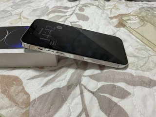 iPhone 14 Pro Max Argento