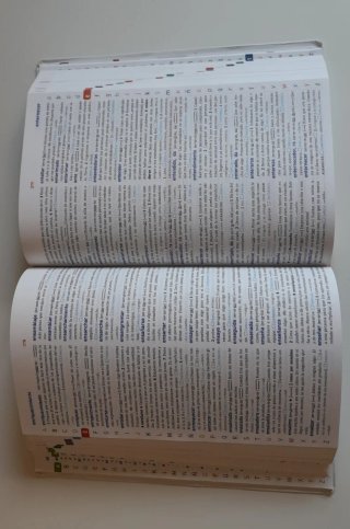 Diccionario básico de la lengua Española primaria