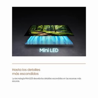 Samsung Neo QLED Mini LED TQ65LS03FWUXXC | NUEVA