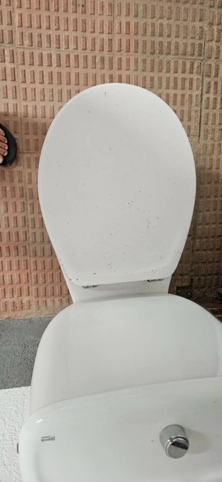 Taza de WC Roca con cisterna y tapa