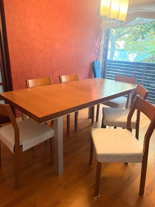 Mesa comedor extensible madera y metal y 8 sillas