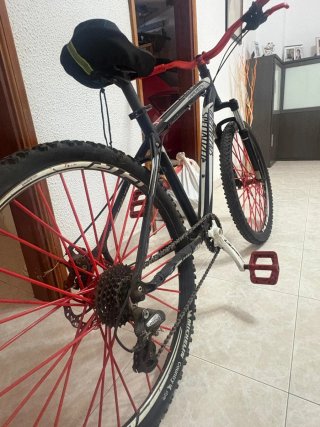 Bicicleta Specialized