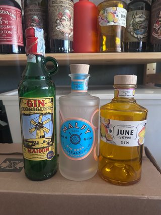 Bottiglie vuote Gin Malfy, June, Xoriguer