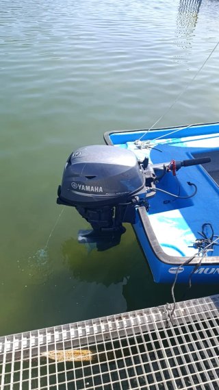 Motor Yamaha fueraborda 15cv 4tiempo