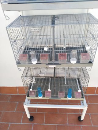 Carro con 4 jaulas Pedros 60cm