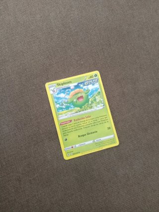 10 Cartas Pokémon Variadas