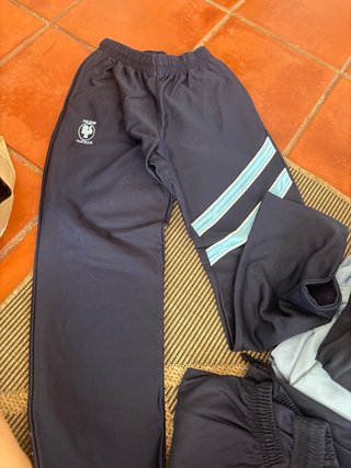 Uniforme colegio pleyade torrent vedat