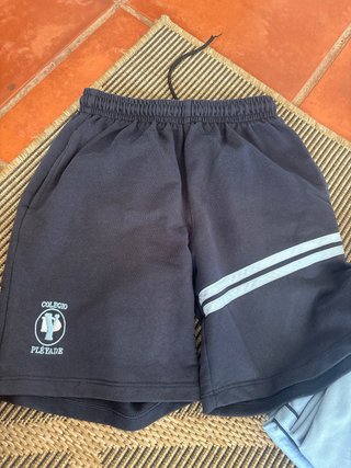 Uniforme colegio pleyade torrent vedat