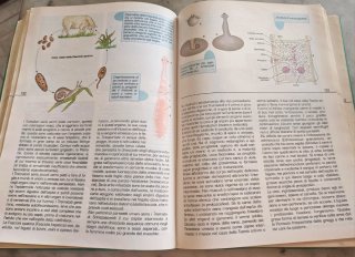Libro "Biologia A" scuole superiori