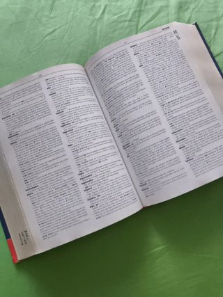 Diccionario Lengua Española Secundaria