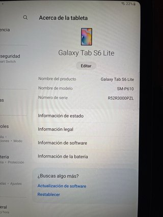 Samsung Galaxy Tab S6 Lite 64 GB