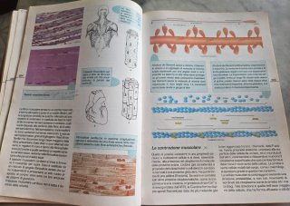 Libro "Biologia B" scuole superiori