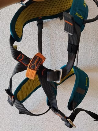 Gattini e imbracatura per bambini e 34 Decathlon