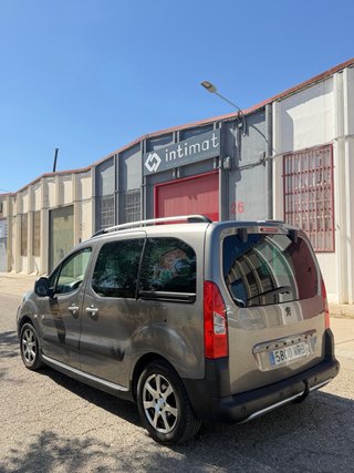 Peugeot Partner Tepee 2010