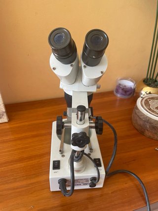 Microscopio Estereoscópico Binocular ZUZI Ura 219/