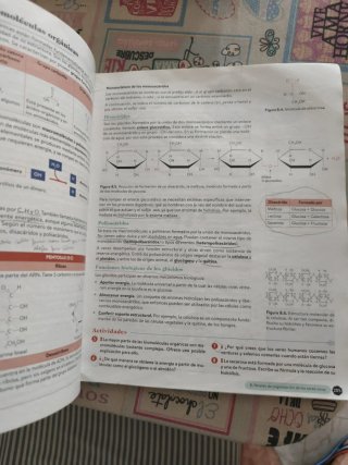 Biología, Geología y CC. Ambientales 1º Bachill...