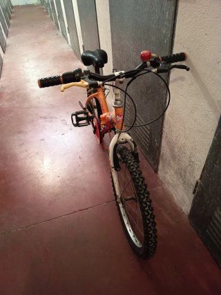 Bicicleta niño o niña