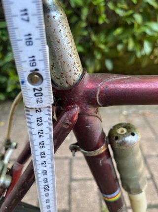 Bici da corsa Wolber Sport