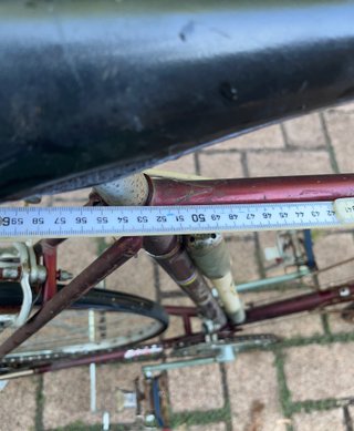Bici da corsa Wolber Sport