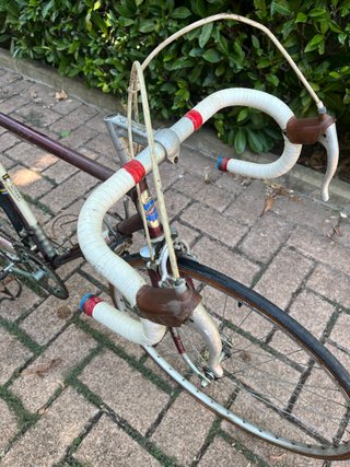 Bici da corsa Wolber Sport