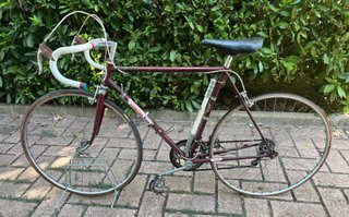 Bici da corsa Wolber Sport