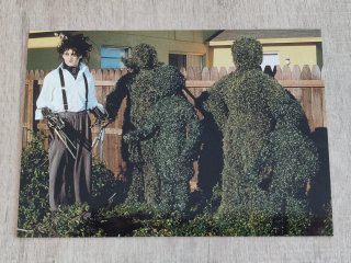6 Postales de la película Eduardo Manostijeras