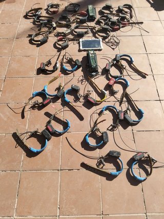 Collares GPS para perros tinilok girona