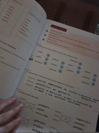 Ortografía 2 Educación Secundaria Obligatoria :...