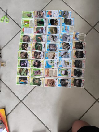 Carte Avventura nella Natura - Collezione