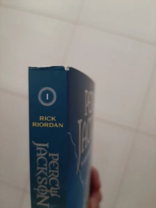 El ladrón del rayo (Percy Jackson) y los dioses...