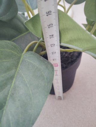 Plantas artificiales decorativas