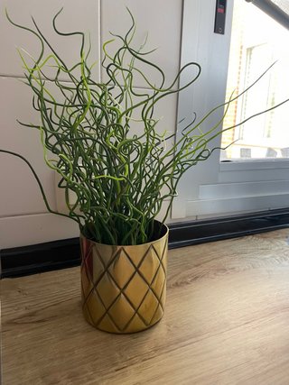 Planta Artificial Ikea Rizada Verde