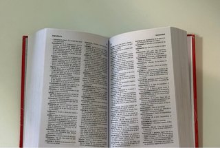 Diccionario de lengua española esencial