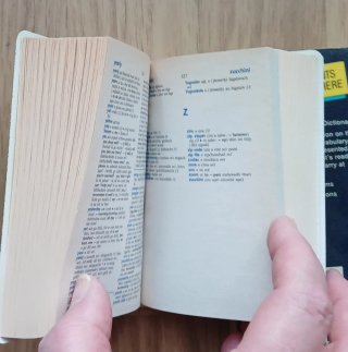 Diccionario Irlandés-Inglés Collins Gem