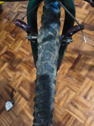 Bicicleta Verde Shimano 26'