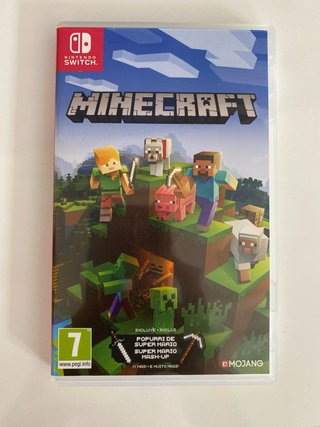 Minecraft Nintendo Switch