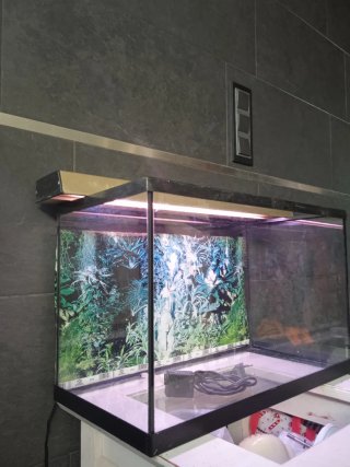 Acuario 70L Negro y Transparente