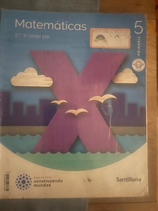 Libros matemáticas 5 primaria