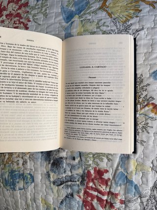 Eneida