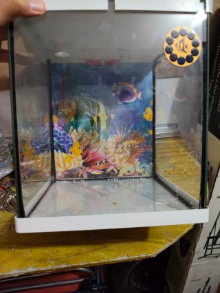 Acuario 100L (80x30x50)